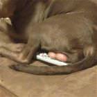 Let Me Change The Channel