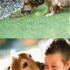 Let Me Give You A Kiss