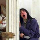 Let Me In Lady