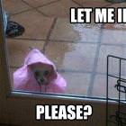 Let Me In Please