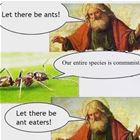 Let There Be Ants