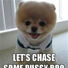 Lets Go Bro