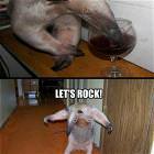 Lets Rock