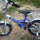 Lexus Bike