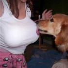 Lick It Off Dog