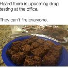 Life Hacks 11