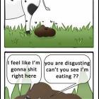 Life Of A Fly