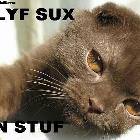 Life Sucks Cat