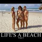 Lifes A Beach