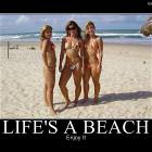 Lifes A Beach