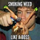 Like A Boss