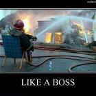 Like A Boss