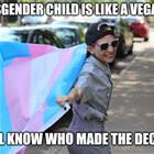 Like A Vegan Cat