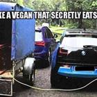 Like A Vegan