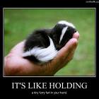Like Holding