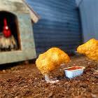 Lil Chix Nuggets