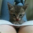 Lip Licking Good