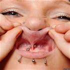 Lippy