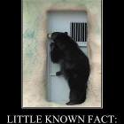 Little Known Fact
