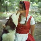 Little Red Riding Hood