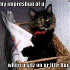 Littr Box