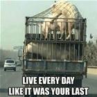 Live Every Day Like