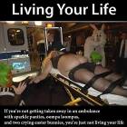 Live Life To The Fullest