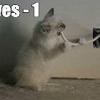 Lives Minus 1