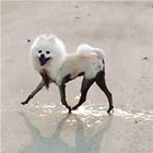 Living His Best Life