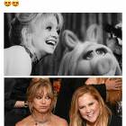 Long Lasting Relationships