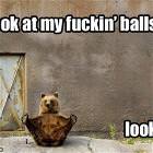 Look
