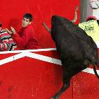 Look A Bull
