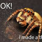Look What I Made