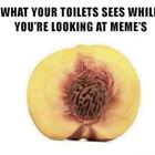 Looking At Memes