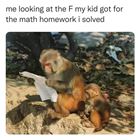 Looking At The F