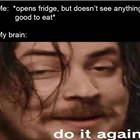 Looking For A Snack