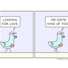 Looking For It