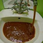 Looks Delicious
