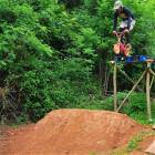 Looks Fun