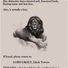 Lost Cat