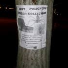 Lost My Spider Collection