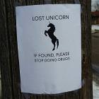 Lost Unicorn