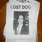 Lost