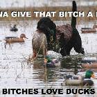 Love Ducks