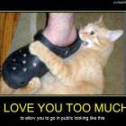 Love You Too Much