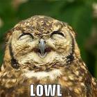 Lowl