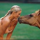 Luckiest Horse Ever