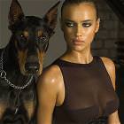 Lucky Dog