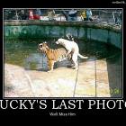Luckys Last Photo