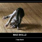 Mad Skillz